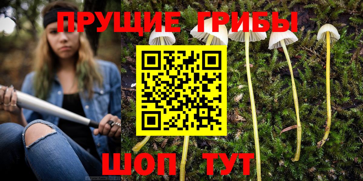 Псилоцибиновые грибы ЛСД Кудымкар